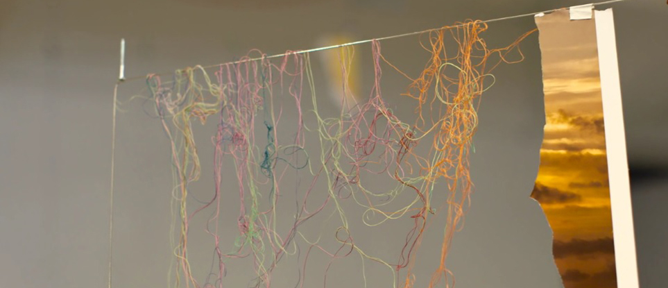 SARAH SZE: HOW WE SEE THE WORLD-2